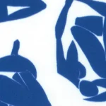 LININGS COLLECTION - Matisse