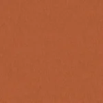 CASHMERE DOESKIN BLAZERS - Orange Solid