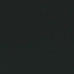VELVETS - Forest Green Solid