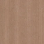 CORDUROYS & MOLESKIN - Fawn 16 Wale Corduroy