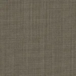 PERENNIAL CLASSICS - Tan Sharkskin