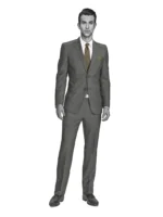 COTTON CLASSICS - Grey Solid - Image 2