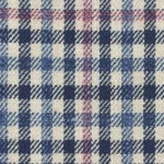 CRYSTAL SPRINGS - Off White/Navy Gun Club with Coral Windowpane