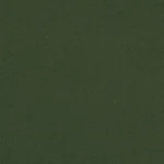 CORDUROYS & MOLESKIN - Olive Moleskin