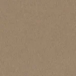 CASHMERE DOESKIN BLAZERS - Light Camel Solid