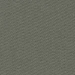 COTTON CLASSICS - Olive Solid