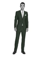 COTTON CLASSICS - Dark Forest Green Solid - Image 2