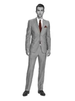 COTTON CLASSICS - Steel Solid - Image 2