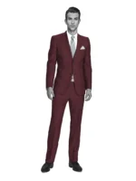 WASHABLE DENIM - Merlot Denim - Image 2
