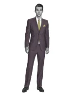COTTON CLASSICS - Mauve Solid - Image 2