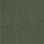 CORDUROYS & MOLESKIN - Olive 11 Wale Corduroy