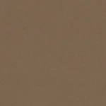 CORDUROYS & MOLESKIN - Light Brown Moleskin
