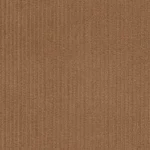 CORDUROYS & MOLESKIN - Honey 14 Wale Corduroy