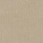 CORDUROYS & MOLESKIN - Sand 14 Wale Corduroy